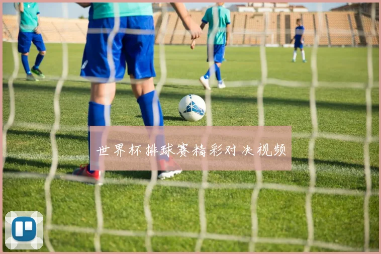 世界杯排球赛精彩对决视频