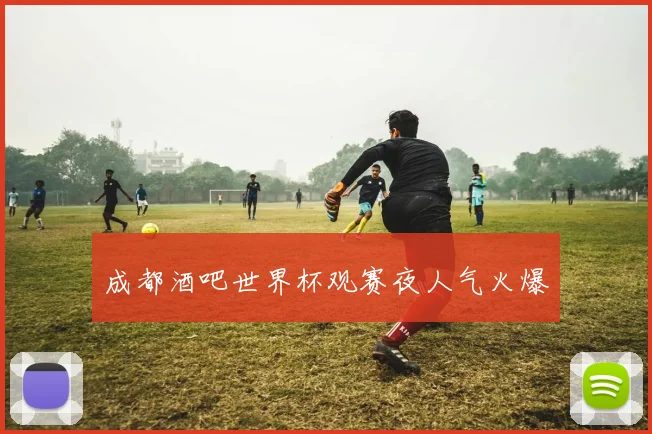 成都酒吧世界杯观赛夜人气火爆