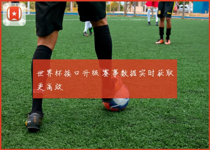 世界杯接口升级 赛事数据实时获取更高效