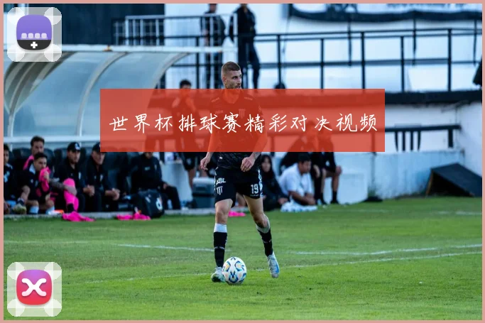 世界杯排球赛精彩对决视频