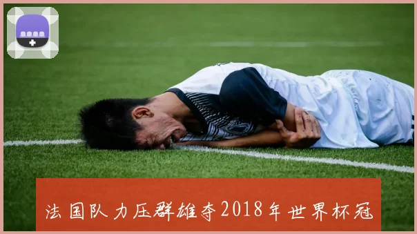 法国队力压群雄夺2018年世界杯冠军