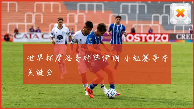 世界杯摩洛哥对阵伊朗 小组赛争夺关键分
