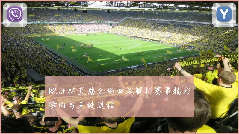 欧洲杯直播全场回放解析赛事精彩瞬间与关键进程