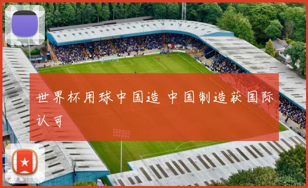 世界杯用球中国造 中国制造获国际认可