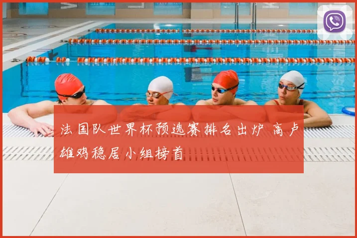 法国队世界杯预选赛排名出炉 高卢雄鸡稳居小组榜首