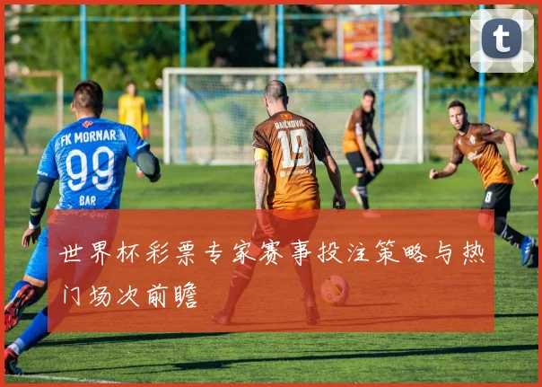 世界杯彩票专家赛事投注策略与热门场次前瞻