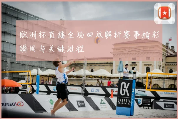 欧洲杯直播全场回放解析赛事精彩瞬间与关键进程
