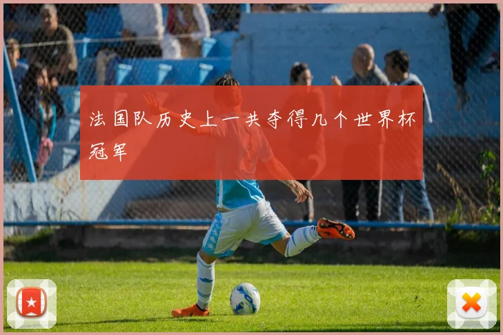 法国队历史上一共夺得几个世界杯冠军