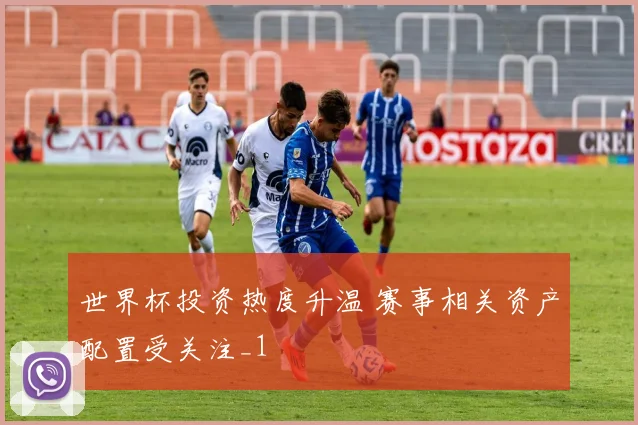 世界杯投资热度升温 赛事相关资产配置受关注_1